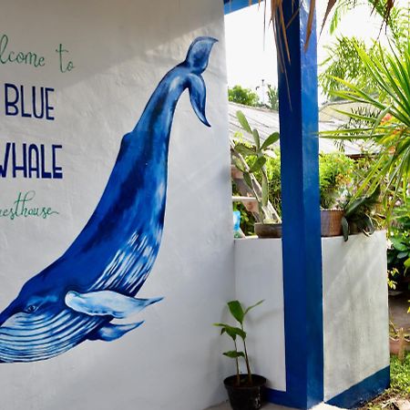 Blue Whale Guesthouse 吉利特拉旺安 外观 照片