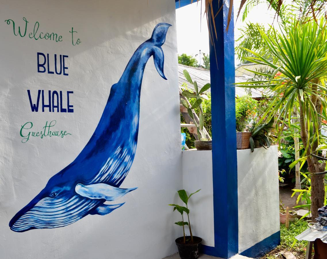 Blue Whale Guesthouse 吉利特拉旺安 外观 照片